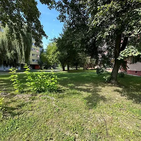 Moderny S Krasnym Vyhladom V Lokalite *